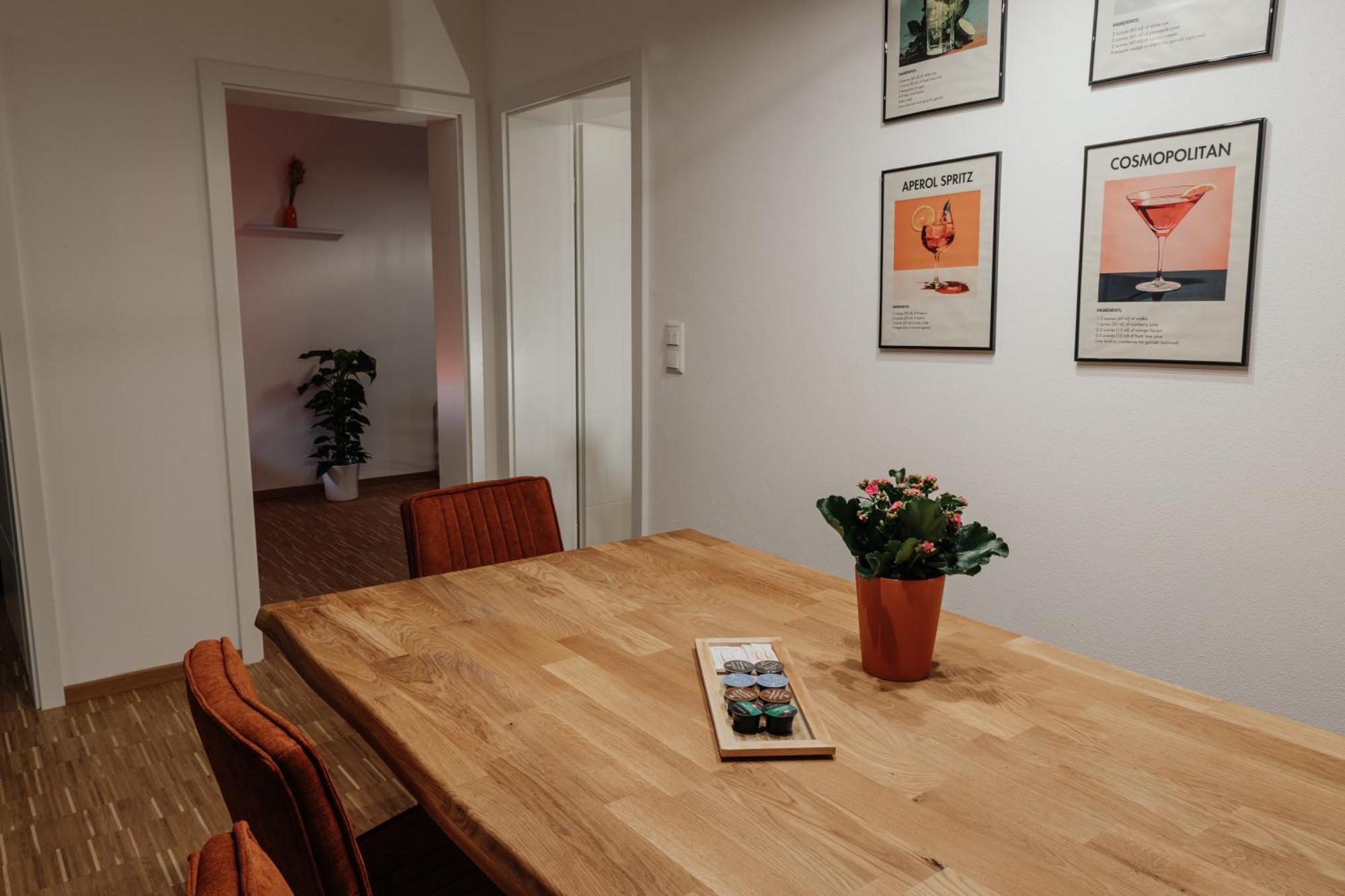 Passaus Motto Appartements! Solo - Paerchen - Familien - Gruppen Phòng bức ảnh